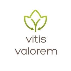 Vitis Valorem, Meursault - Horaires d'ouverture