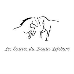 Écuries du Destin Lefebure, Téteghem-Coudekerque-Village - Horaires d'ouverture