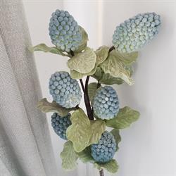 Le Clos d'Anténor, Fresville - Horaires d'ouverture