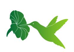 kolibry (Bain-de-Bretagne), - Horaires d'ouverture