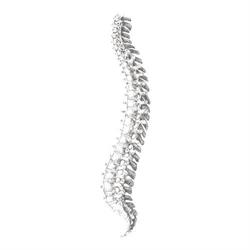 Espace Chiropratique - Erell MARION Chiropracteure, Quimperlé - Horaires d'ouverture
