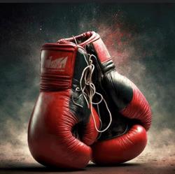 Morning Boxe, Lyon - Horaires d'ouverture