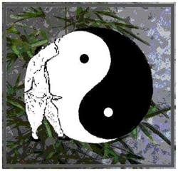 Tai Chi - La Grue Blanche, MDA Tarbes, - Horaires d'ouverture