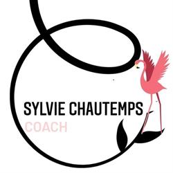 Sylvie Chautemps Consulting, Bron - Horaires d'ouverture