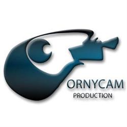 Ornycam Production, Avignon - Horaires d'ouverture