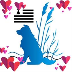La Belle Vilaine Dog Friendly Holiday Gites, Nivillac - Horaires d'ouverture