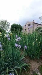 Domaine Le Mas, Aydat - Horaires d'ouverture