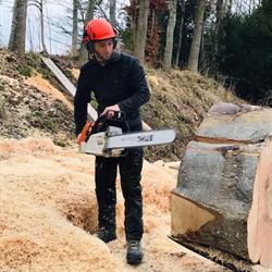 Sarl Audievre louis travaux forestiers abattage Bois de chauffage, La Cerlangue - Horaires d'ouverture