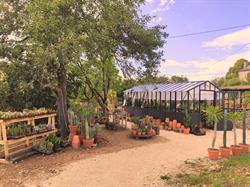 Le Cactus Orange, Cressensac - Horaires d'ouverture