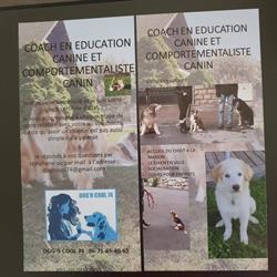 DOG'N COOL 74, Vougy - Horaires d'ouverture