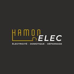 HAMON Elec, Bricqueville-sur-Mer - Horaires d'ouverture