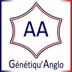 Genetiqu'Anglo, Nérac - Horaires d'ouverture