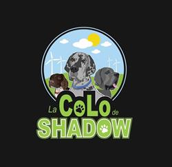 La Colo de Shadow, Paudy - Horaires d'ouverture