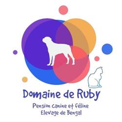 Domaine de Ruby Pension canine et féline, Treffendel - Horaires d'ouverture
