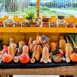 La petite Provence, Le Beausset - Horaires d'ouverture