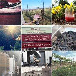 Vignobles Sébastien Lafitte, Saint-Aubin-de-Blaye - Horaires d'ouverture