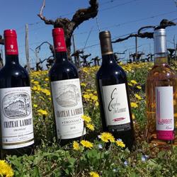 Chateau Lambert - Vin de Fronsac, Saint-Aignan - Horaires d'ouverture