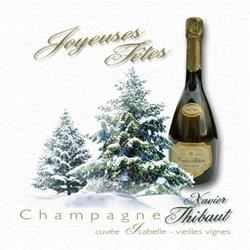 champagne Thibaut Xavier, Passy-sur-Marne - Horaires d'ouverture