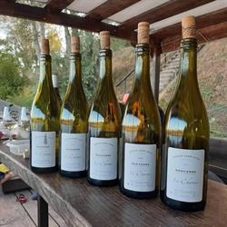 Domaine André VATAN, Verdigny - Horaires d'ouverture