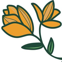 Couleurs Fleurs, L'Isle-Jourdain - Horaires d'ouverture