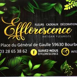 Efflorescence, Bourbourg - Horaires d'ouverture