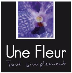 Une Fleur tout simplement, Saint-Louis - Horaires d'ouverture