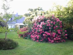 Chambre dans un jardin, Névez - Horaires d'ouverture