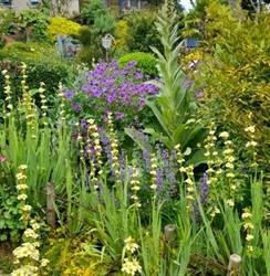 Jardin au paradis des fleurs et des oiseaux, Availles-Limouzine - Horaires d'ouverture