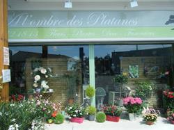 A L'ombre Des Platanes, Camblanes-et-Meynac - Horaires d'ouverture