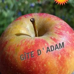 Gîte d'Adam, Adam-lès-Passavant - Horaires d'ouverture