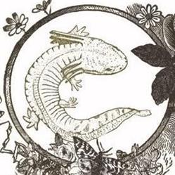 Curieuzatelier, Aiguèze - Horaires d'ouverture