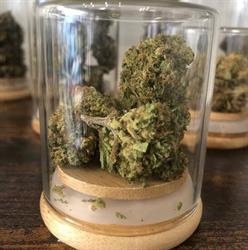 CBD Queen Flower, Drancy - Horaires d'ouverture