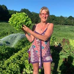 Verdure Délice Selles sur Cher, Selles-sur-Cher - Horaires d'ouverture