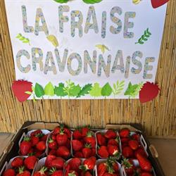 La fraise cravonnaise, Berre-l'Etang - Horaires d'ouverture