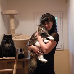 Pension pour chats "Félin pour l'autre", Lugrin - Horaires d'ouverture