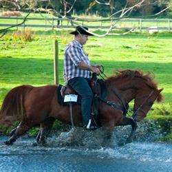 Pegasusranch7, Lavaufranche - Horaires d'ouverture