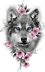 family canin, Saint-Aunix-Lengros - Horaires d'ouverture