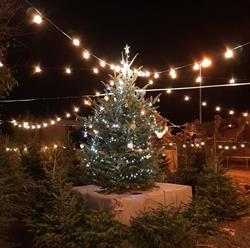 Les Sapins du Coin, Carcassonne - Horaires d'ouverture