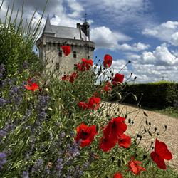 Forteresse Chinon - Horaires d'ouverture