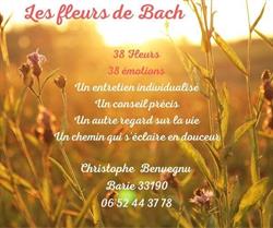 Christophe Benvegnu, Barie - Horaires d'ouverture