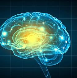 Neurofeedback Bordeaux, - Horaires d'ouverture