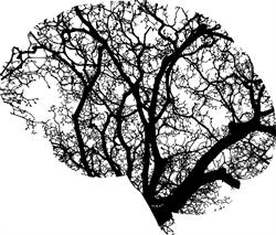 Stéphanie Hun - neuropsychologue, Cagnes-sur-Mer - Horaires d'ouverture