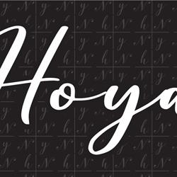 Restaurant Hoya, Vannes - Horaires d'ouverture