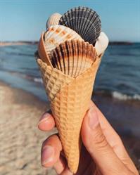 Glace de Breizh, Pleyben - Horaires d'ouverture