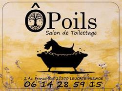 Toilettage leucate Ô POILS, Leucate - Horaires d'ouverture