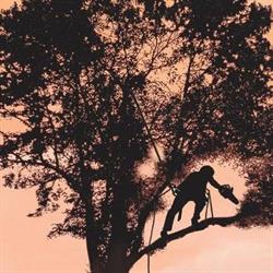 Vertig' y Noeuds, Caudebronde - Horaires d'ouverture