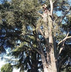Branche et Nature, Forges-les-Bains - Horaires d'ouverture