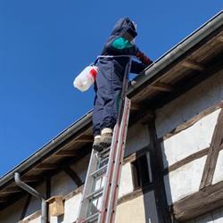 AC Nuisibles guêpes frelons, Laimont - Horaires d'ouverture