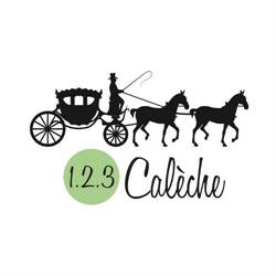 1.2.3 calèche, Tarbes - Horaires d'ouverture