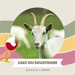 Gaec Du Soustrobe, Villelongue-d'Aude - Horaires d'ouverture